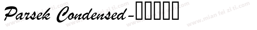 Parsek Condensed字体转换
